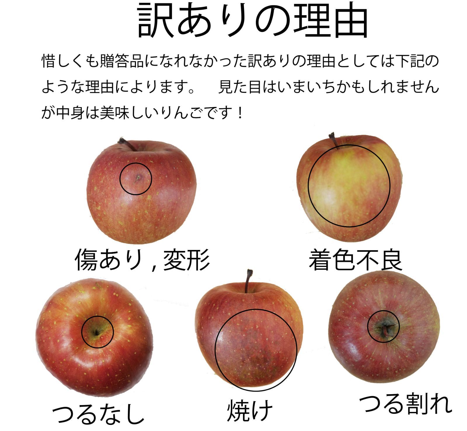 青森県産　家庭用訳あり　りんご　サンふじ　10kg-5