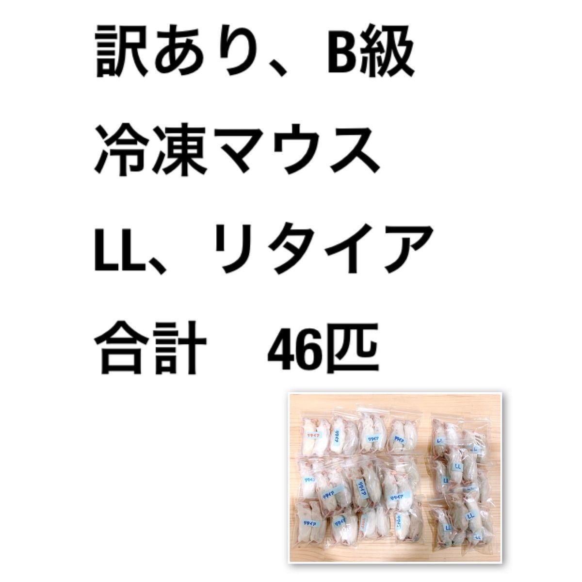 訳あり、B級 冷凍マウス LL、リタイア | libbybellart.com