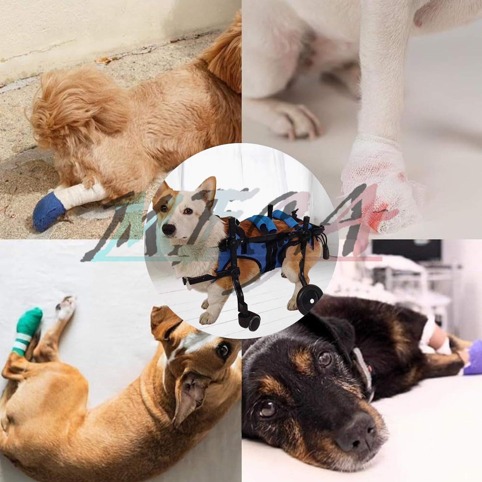 犬用車椅子 4輪 犬用歩行器 犬用 車いす ペット/猫/犬カート サイズ 
