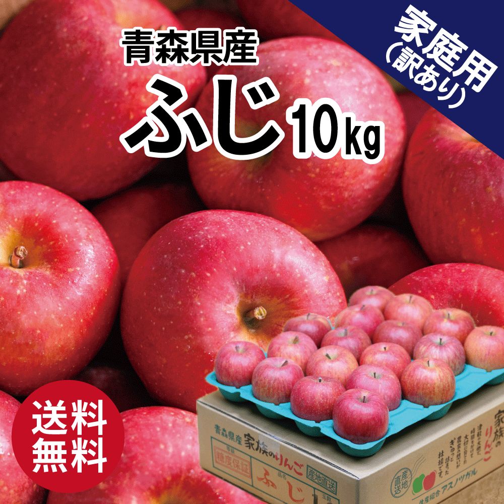 青森県産 ふじ 訳あり 10kg 10キロ 産地直送 青森 りんご 家庭用