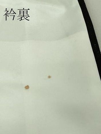 平和屋本店□極上 訪問着 草花文 暈し染め 黒地 金銀彩 銀通し地 逸品