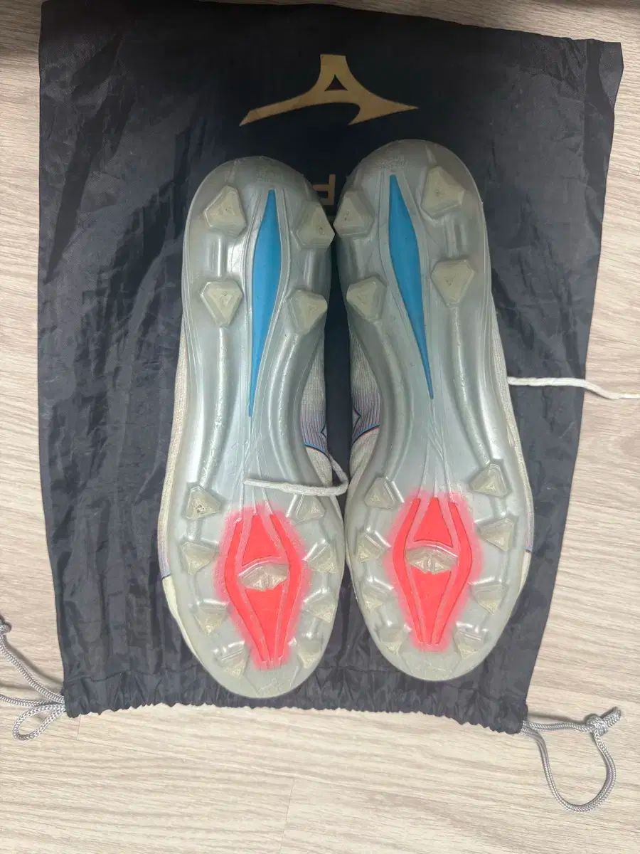 Mizuno