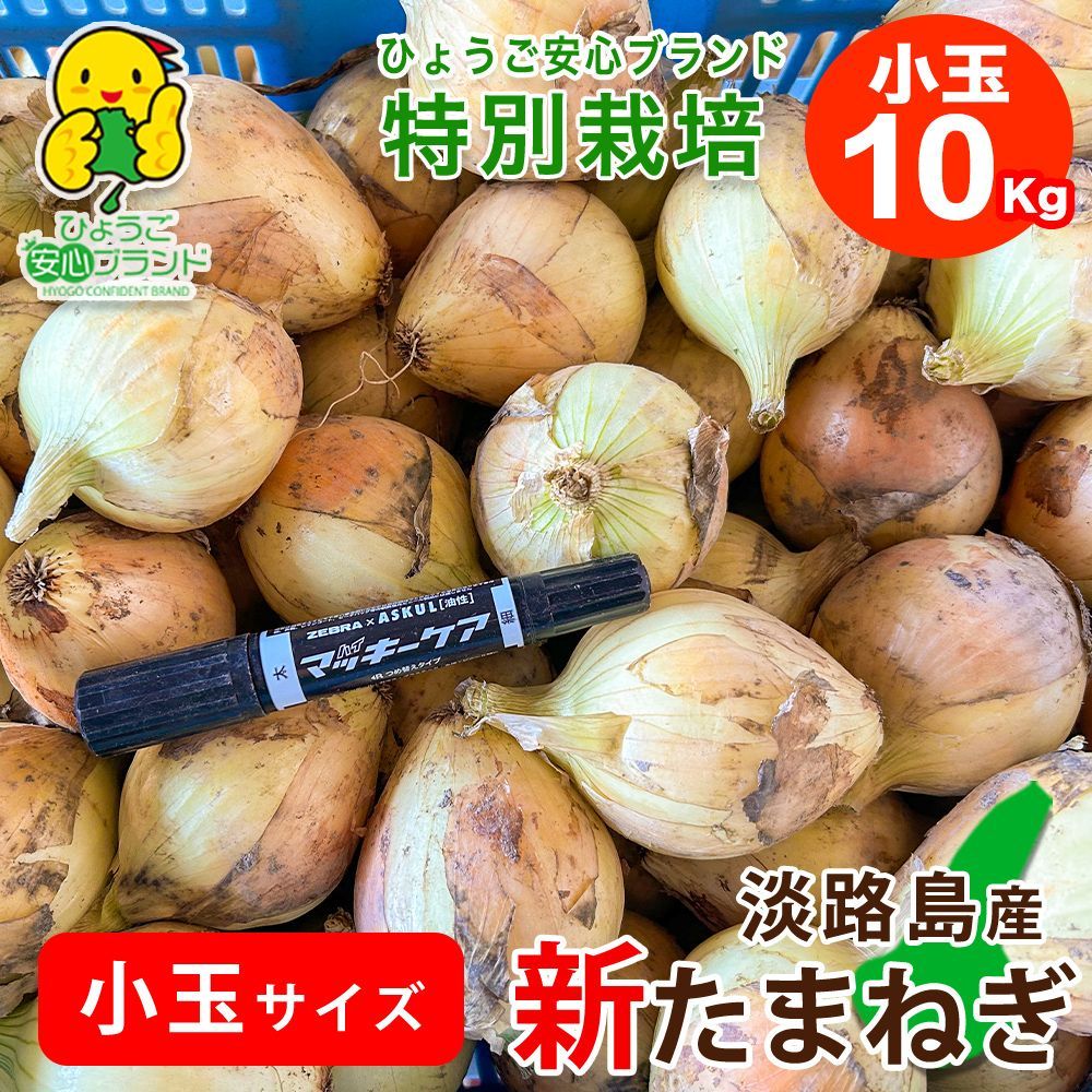 訳あり小玉中心【あさひ】10kg 淡路島産 新たまねぎ【わせ品種】 ひょうご安心ブランド 特別栽培 1年中で今だけ わせ品種訳あり　数量限定　ノークレーム　ノーリターン
