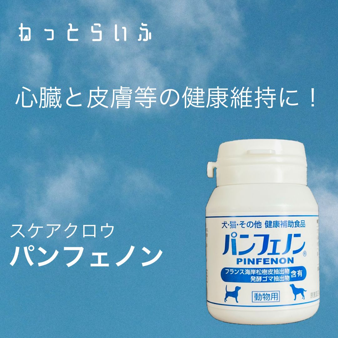 パンフェノンS スケアクロウ パンフェノンS 120粒入り PINFENON