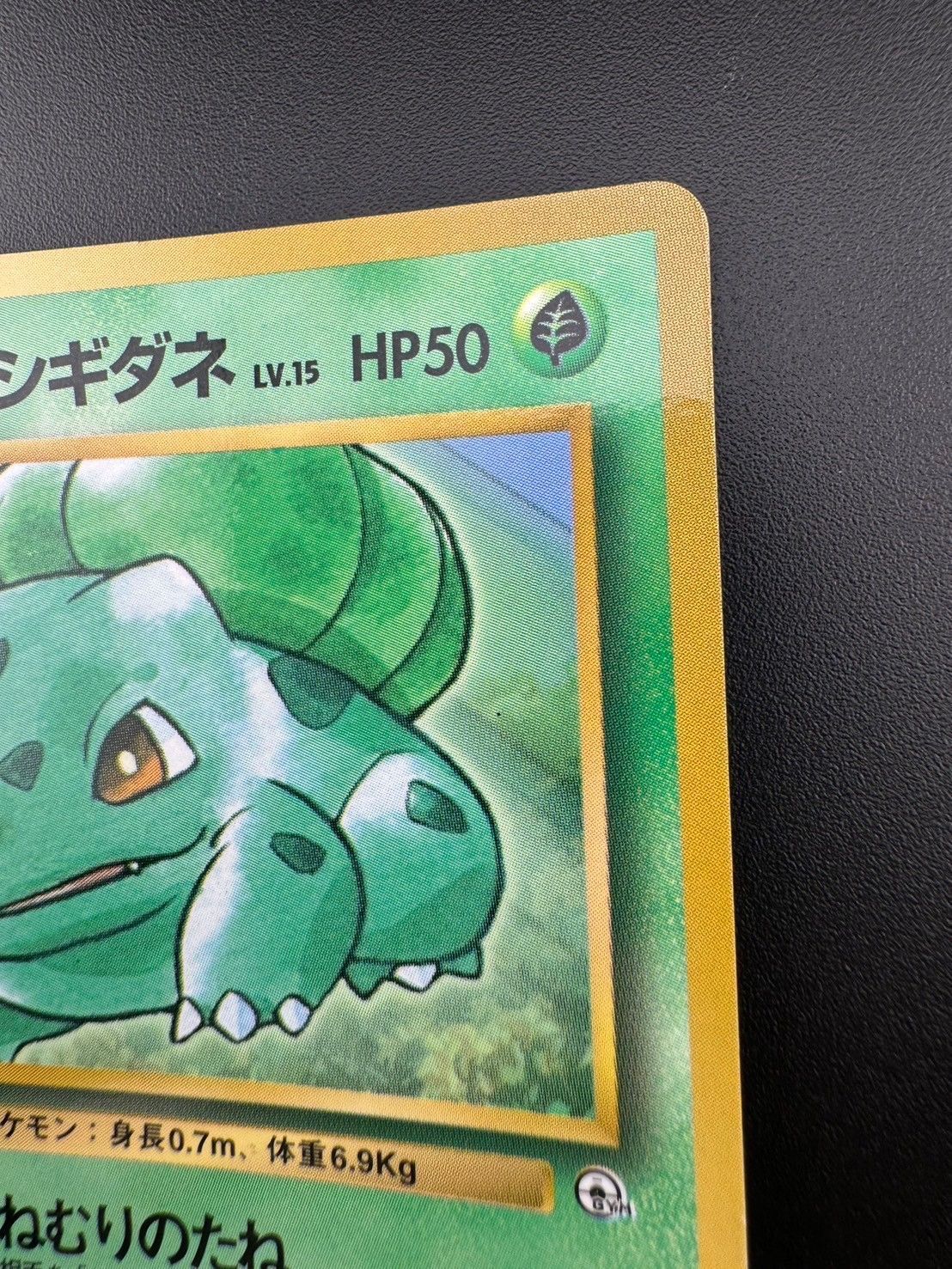 PSA9 エリカのフシギダネ 旧裏 コロコロプロモ 001 1998 PSA9 エリカのフシギダネ 旧裏 コロコロプロモ 001 1998 - メルカリ