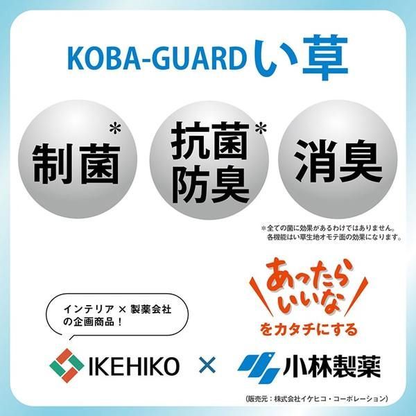 い草 ラグ マット 約190×300cm グラデーション オレンジ 小林製薬 持続性抗菌剤 KOBA-GUARD 制菌 抗菌 防臭 滑り止め 不織布 MARWIL-DEMENAGEMENTS_CH