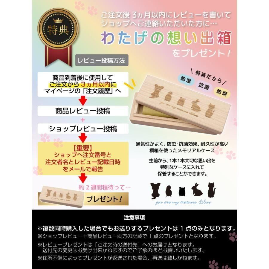 ペット用仏壇 BOX型
