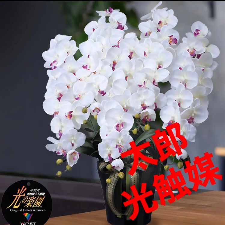 光触媒 人工観葉植物 フェイクグリーン ロイヤル胡蝶蘭5本立W/AB