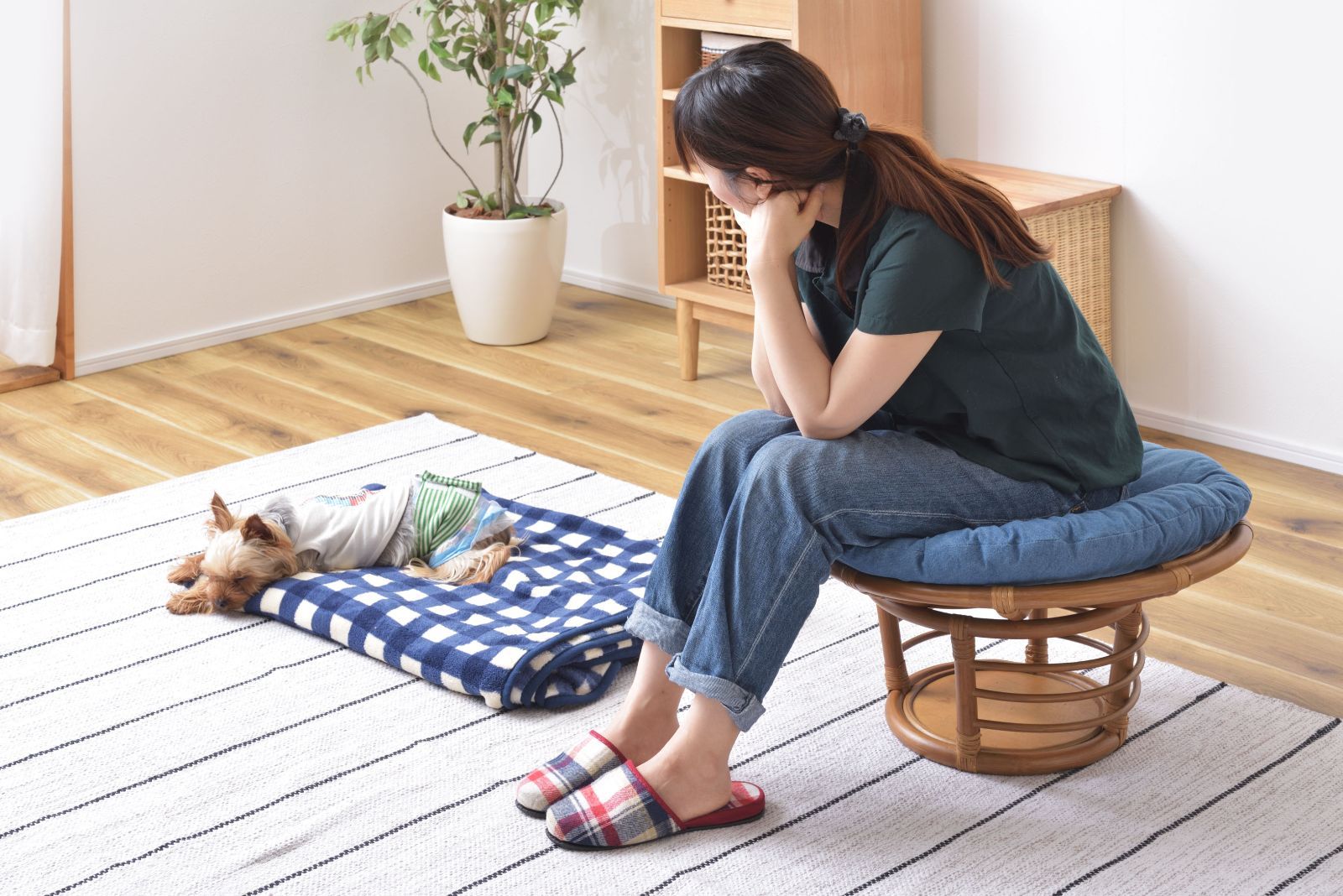 クッション付き