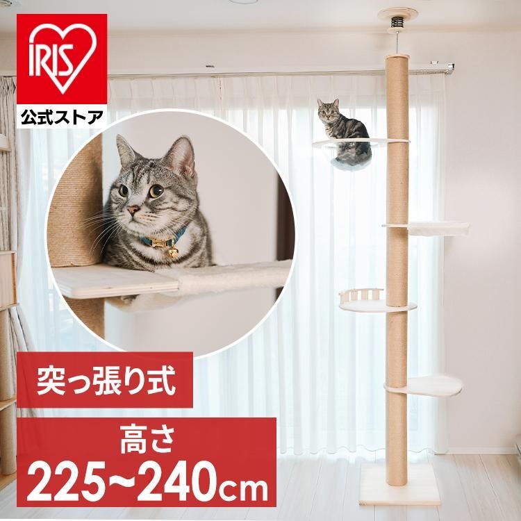 公式 キャットタワー 木製 突っ張り 猫 爪とぎ 猫タワー ハンモック ベッド キャットハウス クリアボウル つっぱり式 突張式アスレチックタワー 1011106003 D
