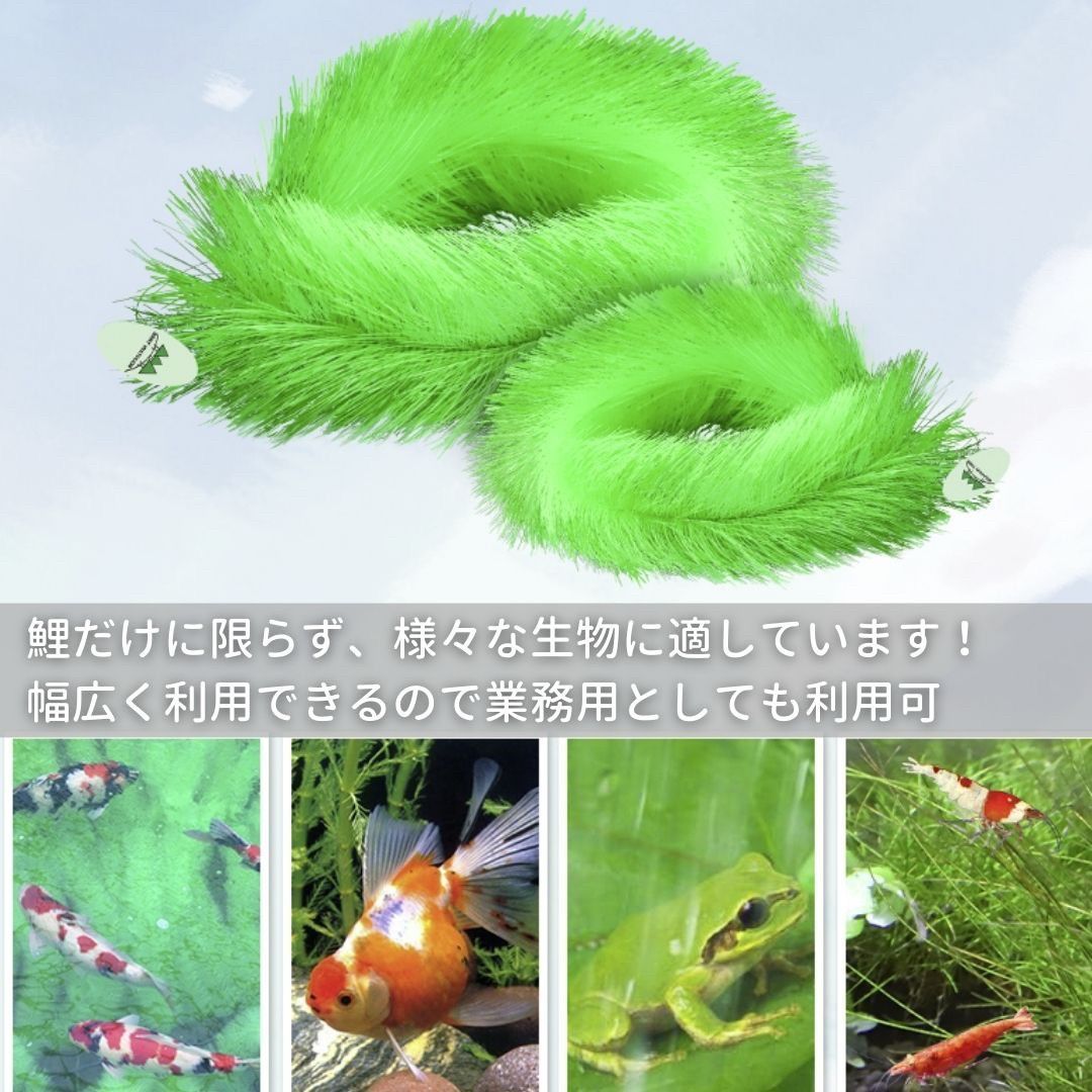 水槽