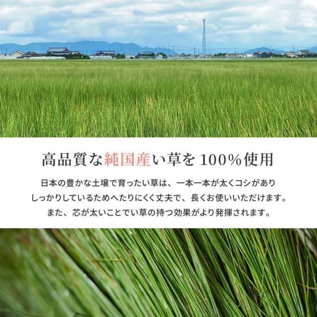 萩原 国産い草廊下敷き 裏貼り エルモード 81830369 ブラウン 95×540cm 袋織 滑り止め加工付