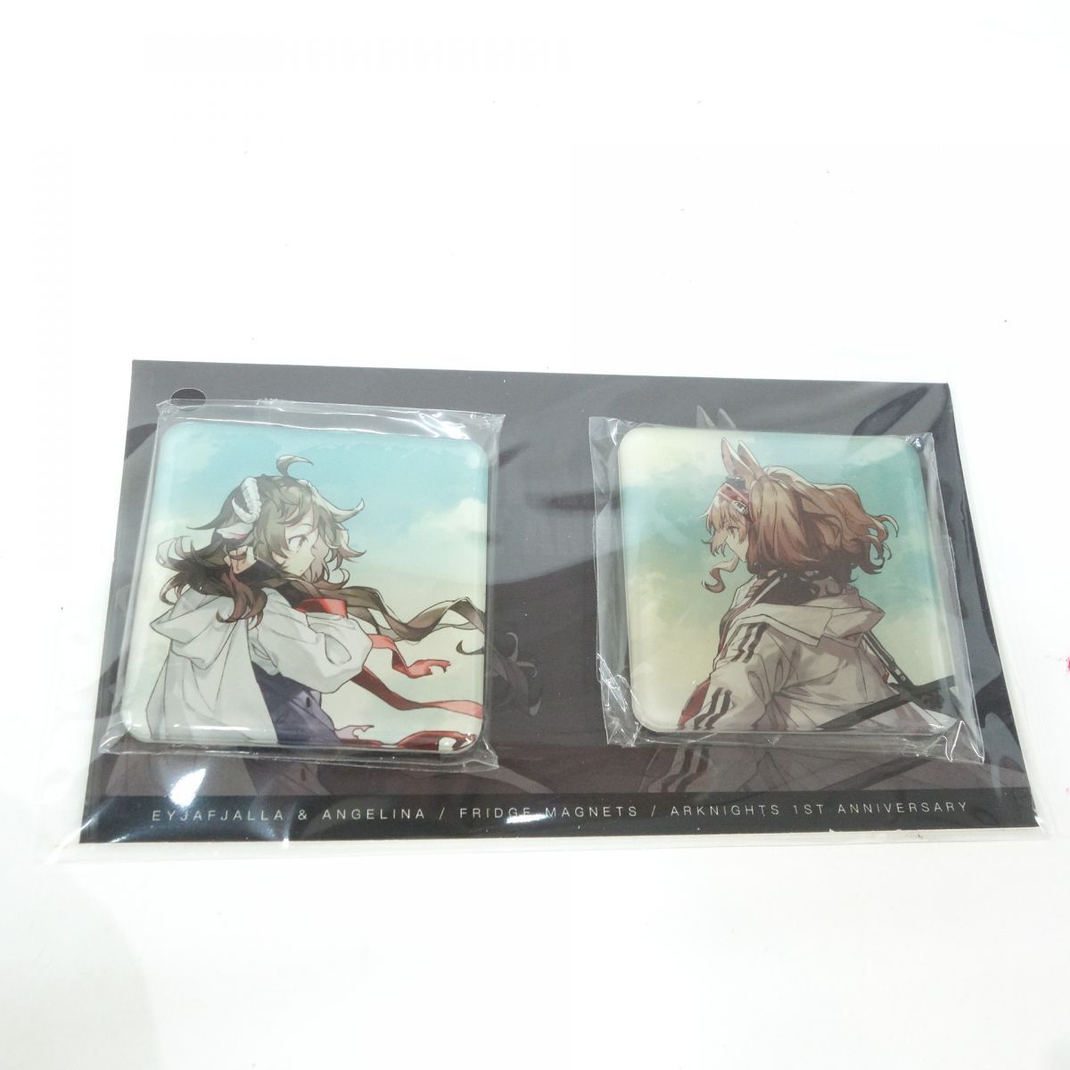 【新品】アークナイツ　1周年記念イラスト集 Arknights 1st anniversary アークナイツ1周年イラスト集