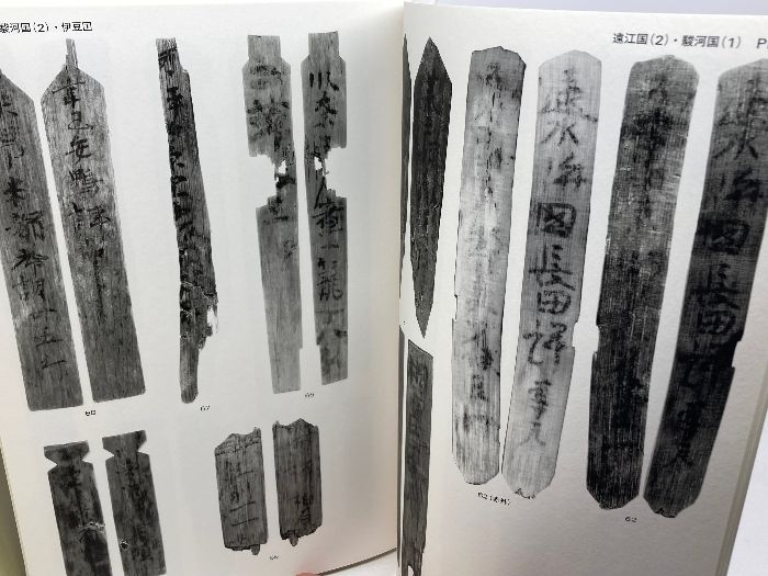 評制下荷札木簡集成 評制下荷札木簡集成 東京大学出版会 文化財研究所奈良文化財研究