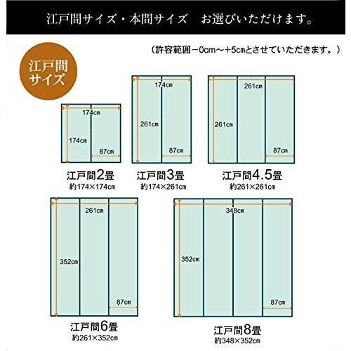 イケヒコ ラグ カーペット ウィード 本間4.5畳 約286×286cm ブラック 洗える 2116914