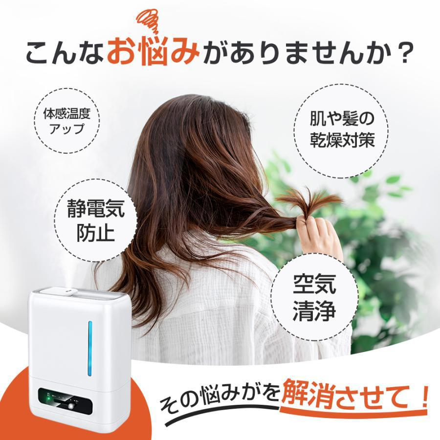 新品未使用 翌日発送】加湿器 卓上 除菌加湿器 超音波加湿器 大容量 4L