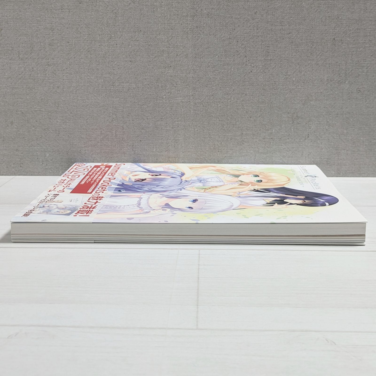 Summer Pockets VISUAL FANBOOK / サマーポケッツ ビジュアル