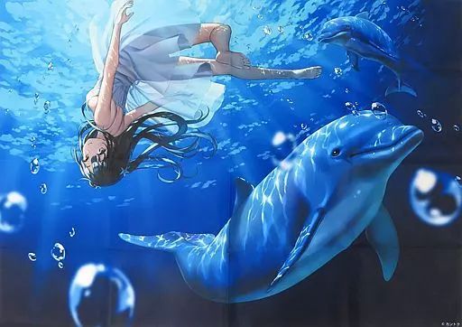 中古】ポスター B1布ポスター イルカと渚(カントクイラスト) - メルカリ