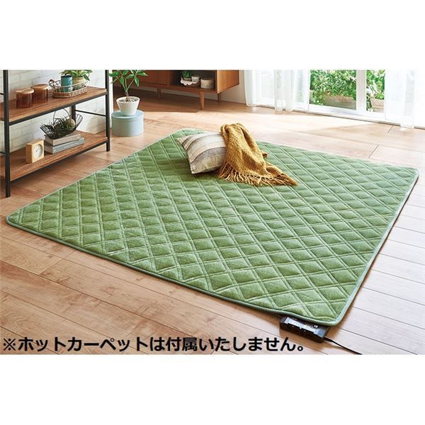 パーソナル ラグ マット ふつうタイプ 約180×180cm グリーン 保湿 吸