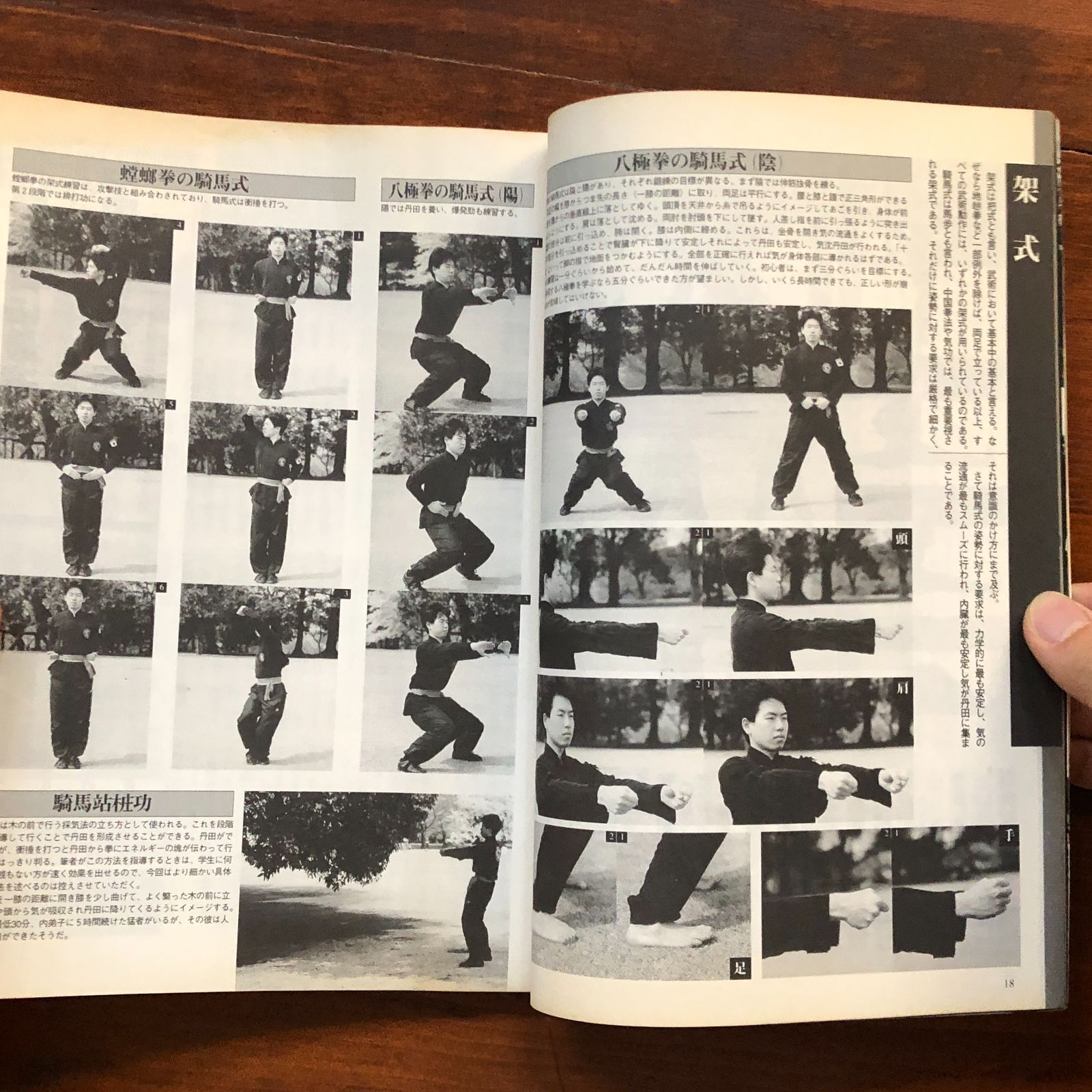 【信】中国武術本まとめ 太極拳/八卦掌/龍鳳双剣/一路摘要拳/青年拳/梅花落拳他 信】中国武術本まとめ 太極拳/八卦掌/龍鳳双剣/一路摘要拳/青年