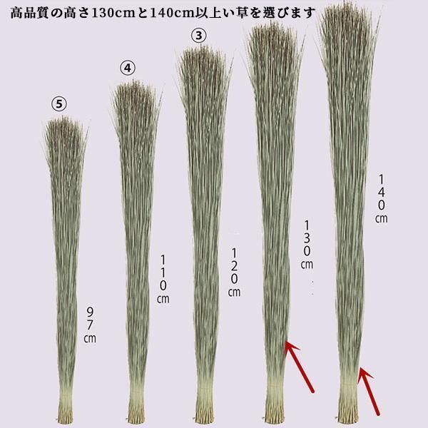 敷きパッド 置き畳