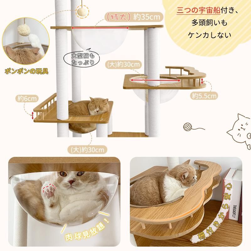 三つの透明な宇宙船