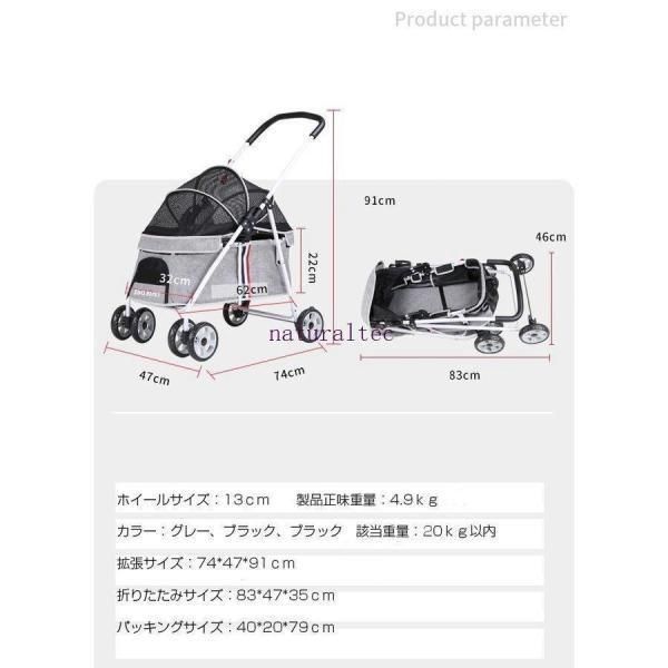 小型犬
