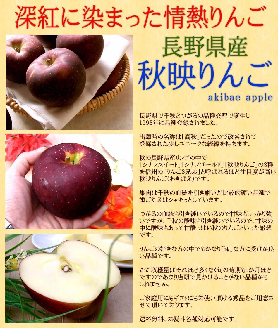 秋映えりんご 長野県産