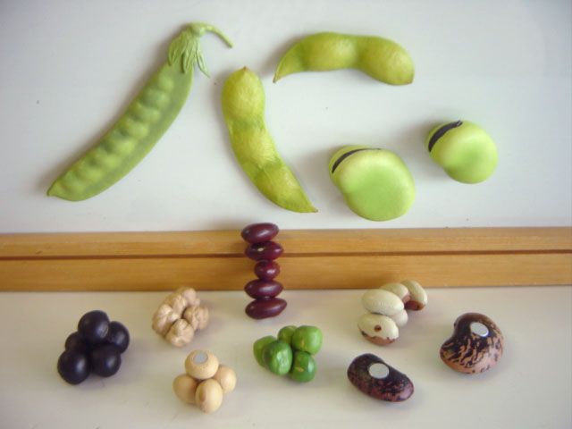 ♯Iui26Hzネイチャーテクニマメマグネット-ストラップバッヂ16種