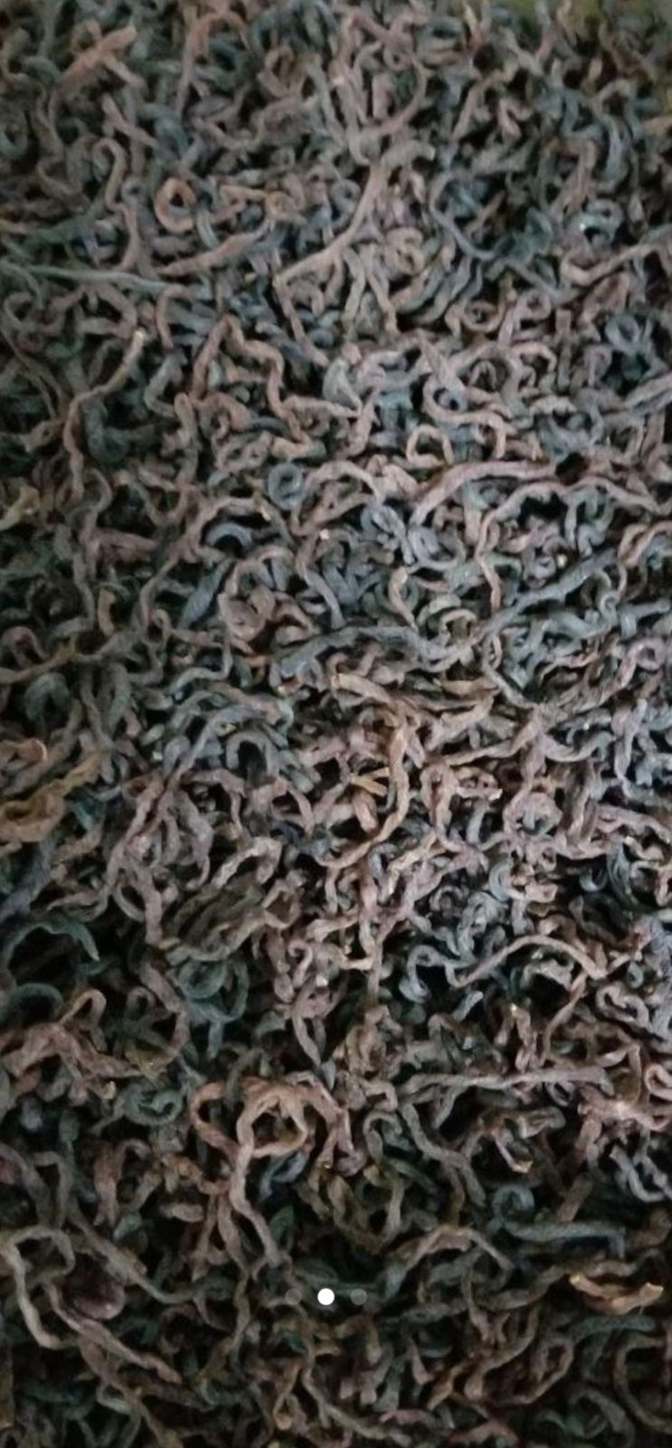 ５００g