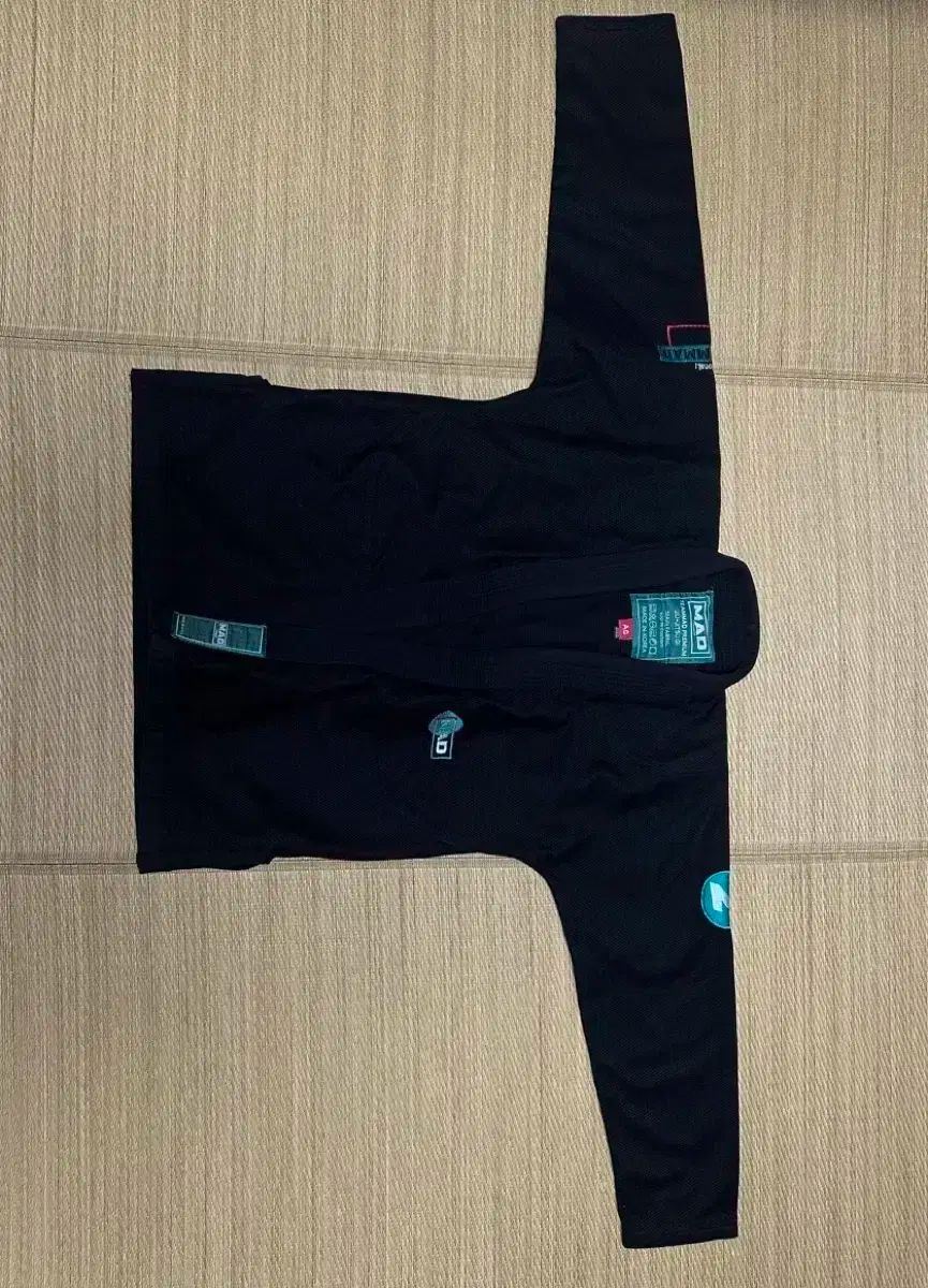 柔術 Jiu-Jitsu 道場 a0