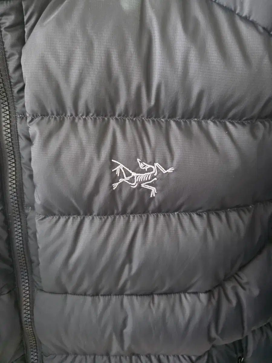 ARC TERYX アークテリクス トリウム ジャケット ブラック xl サイズ