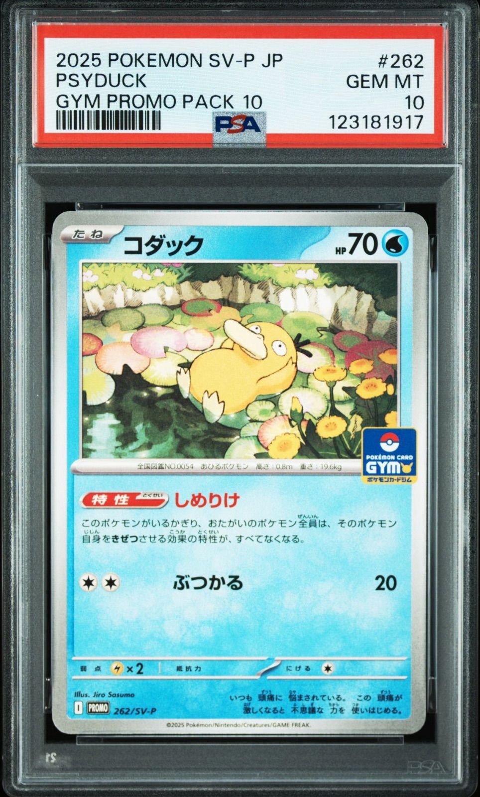 コダック しめりけ PSA10 ジムプロモ ② ポケモンカード コダック しめりけ ジムプロモ PSA10 - メルカリ