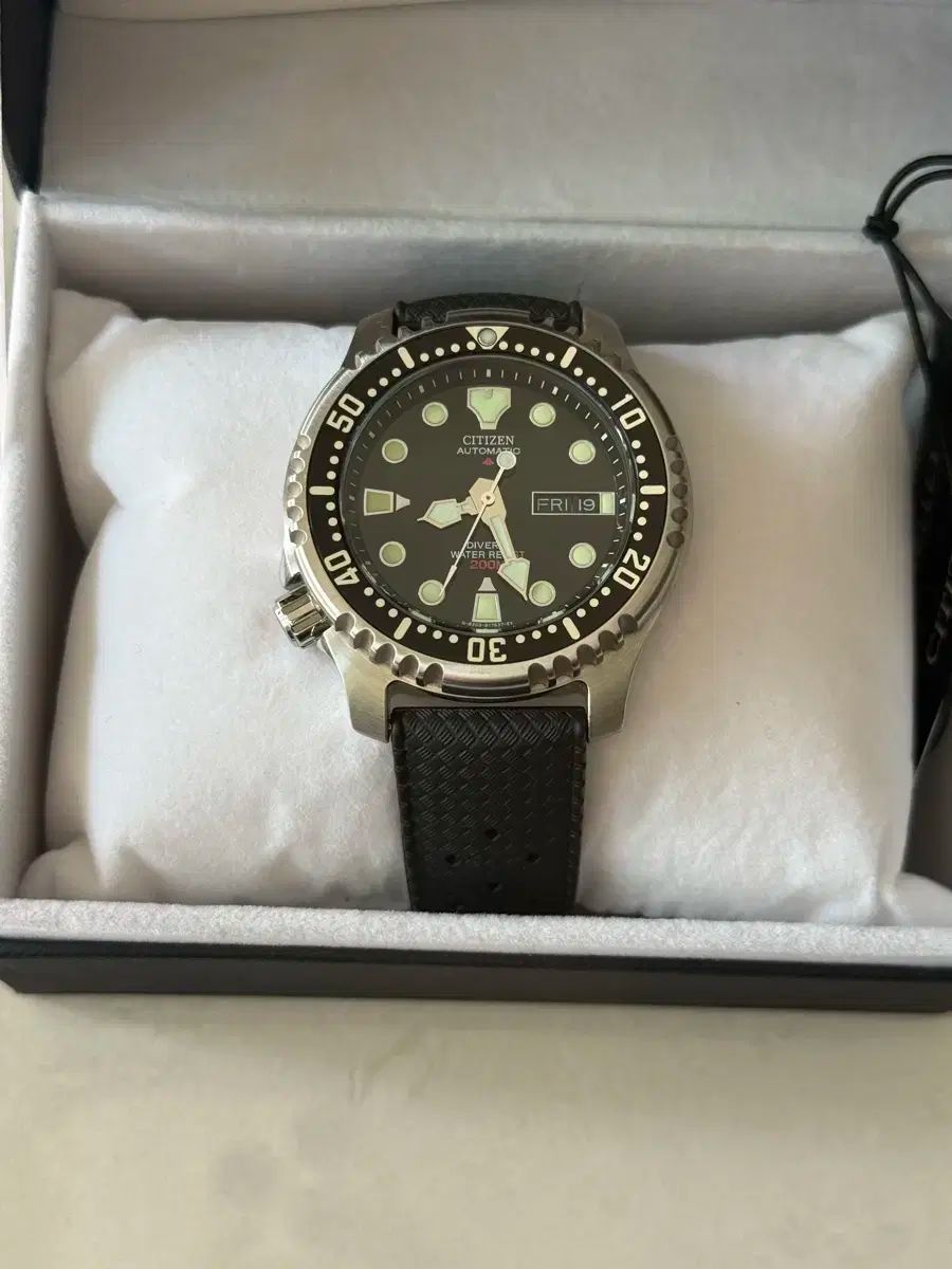 CITIZEN シチズン フグ ny0040 ジョセフ ボニー ストラップ