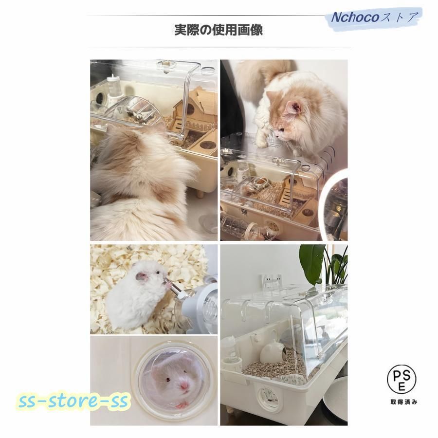 透明度高い