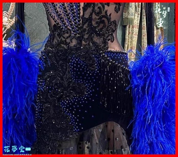 オーダーメイド社交ダンス衣装色変更可 スタンダードドレス 羽根高品質