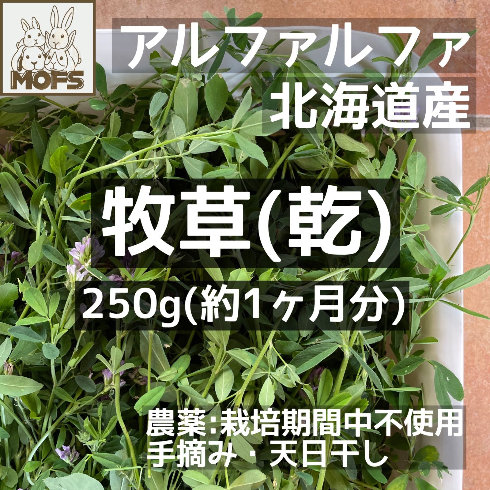 約1ヶ月分 牧草 アルファルファ うさぎ ウサギ モルモット チンチラ 北海道産 約1ヶ月分 牧草 アルファルファ うさぎ ウサギ モルモット