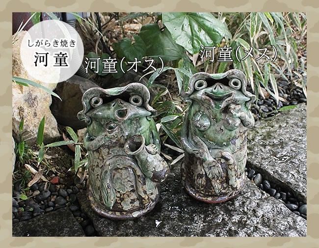 【レア】信楽焼 河童 カッパ オス（大）高さ約33cm 信楽焼 河童 オス ひょうきんな陶器カッパ 。可愛い表情のかっぱ