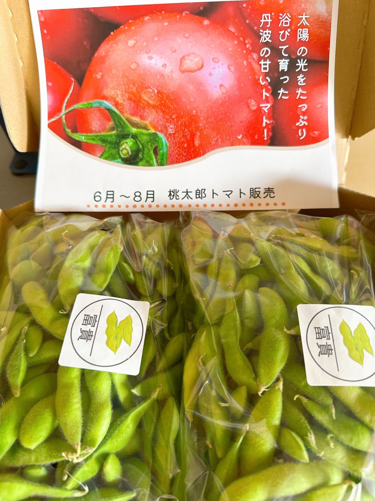 月曜日発送‼️大粒枝豆‼️早生枝豆1キロ‼️丹波産枝豆❣️大粒で甘味のある枝豆