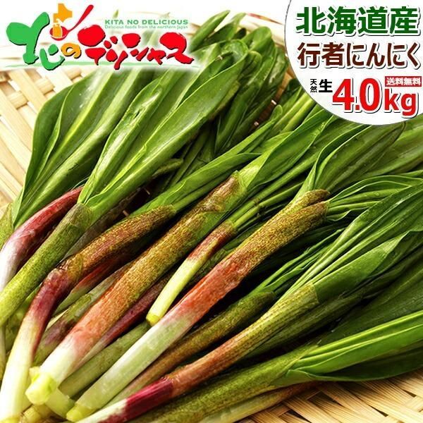 出荷中 北海道産 山菜 天然 行者にんにく 4kg 1束 50g×80束 春の味覚 天然 山菜 天然山菜 行者ニンニク 食品 野菜 ギフト 贈り物 お祝い 内祝い プレゼント ご家庭用 北海道 グルメ お取り寄せ