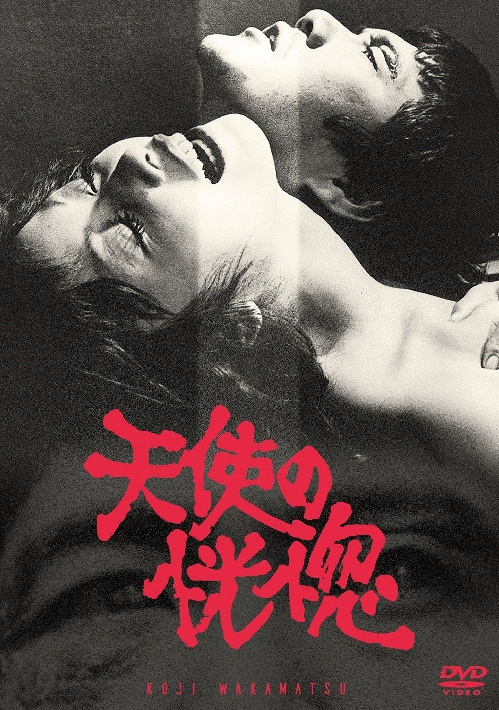 天使の恍惚 DVD