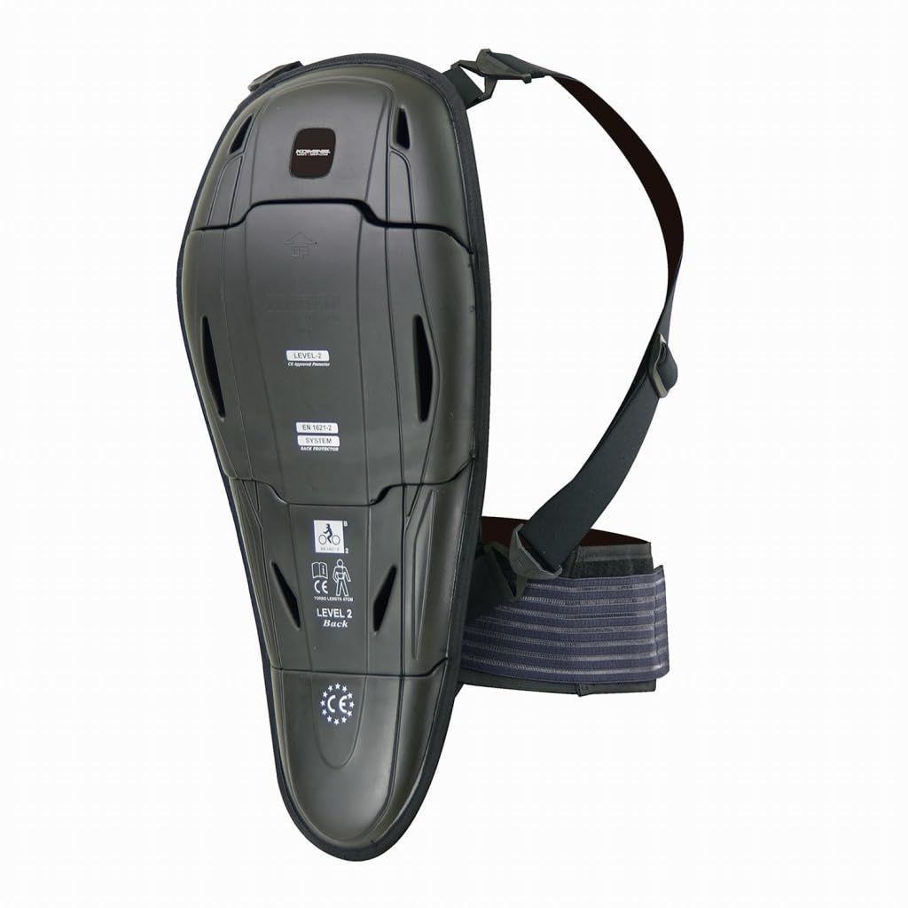 新品】中国の十二支動物誌 著者:鄭 高詠 帯付き 絶版本(入手困難書籍