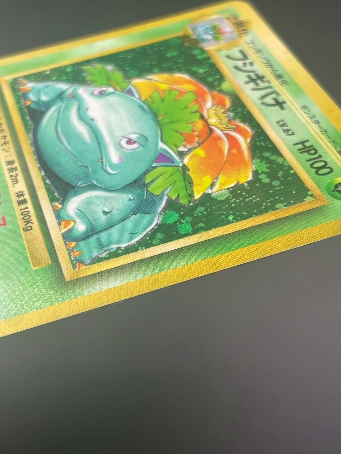 フシギバナ 旧裏 ★ 第1弾拡張パック ポケモンカード ポケカ フシギバナ ☆ 第1弾拡張パック 旧裏 初版 ポケカ トレカ - メルカリ