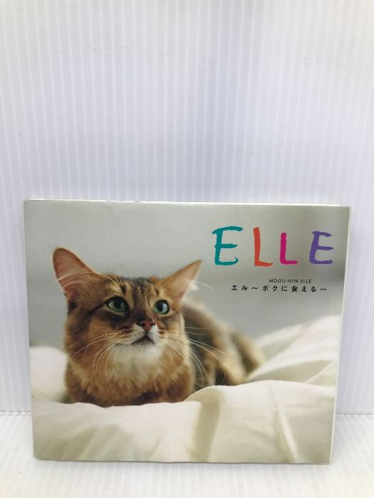 Elle: ボクに会える ソニ-・ミュ-ジックソリュ-ションズ