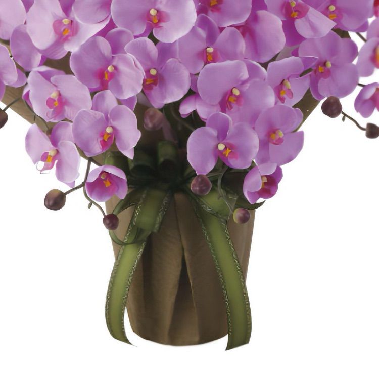 光触媒　人工観葉植物　フェイクグリーン　エレガント胡蝶蘭7本立LAV 光触媒 人工観葉植物 フェイクグリーン エレガント胡蝶蘭7本立W 【公式