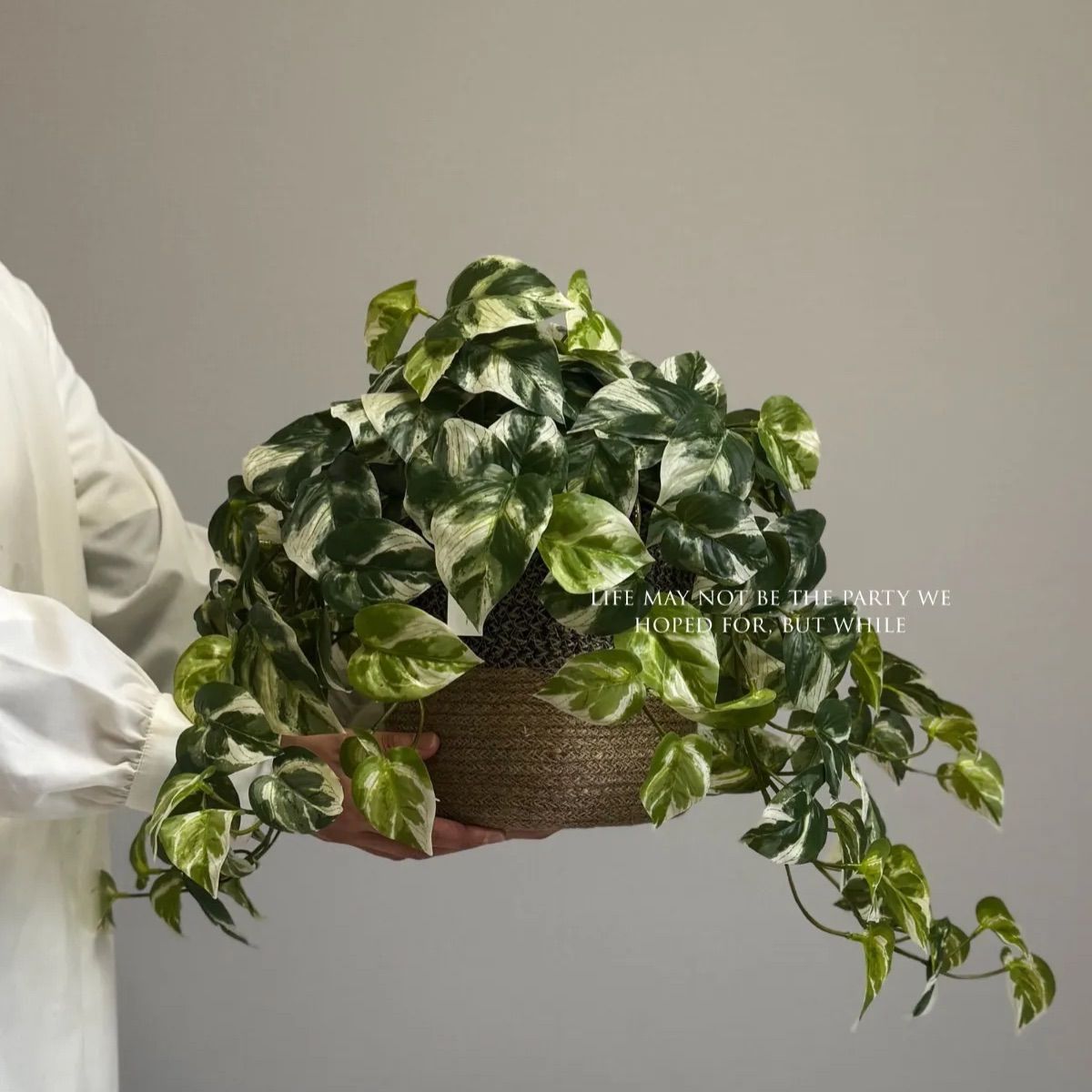 光触媒　人工観葉植物　フェイクグリーン　スリムフレッシュパーム1.55 光触媒 光の楽園 フレッシュトラベラーズパーム1.55m
