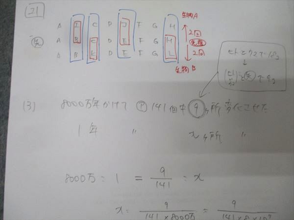 駿台 生物S Part1/2 テキスト通年セット 2017 計4冊 伊藤和修