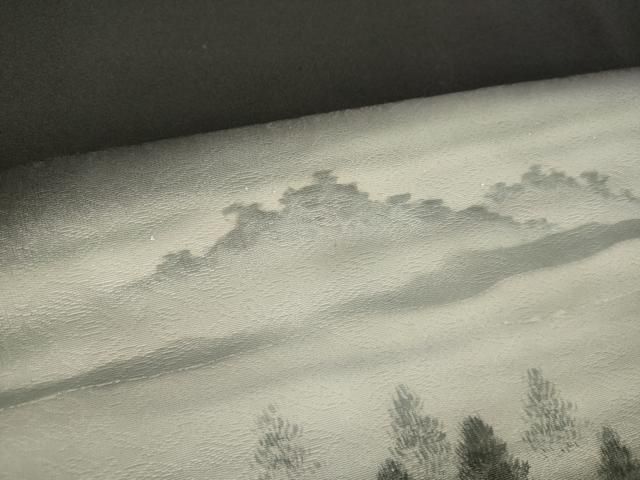 平和屋着物○洛楽人工房 訪問着 樹林文 暈し染め 黒地 銀彩 正絹 逸品