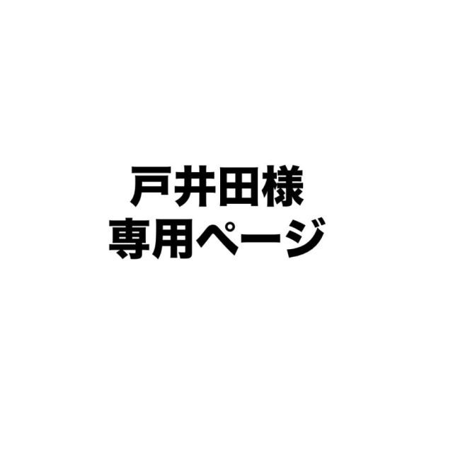 戸井田様専用ページ