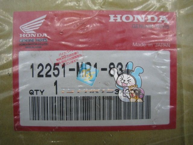 スティード600 シリンダーガスケット 在庫有 即納 ホンダ 純正 新品